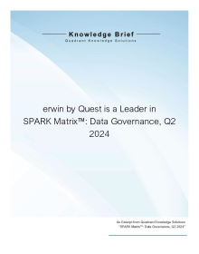 Quadrant Knowledge Solutions 2024 Data Governance Spark Matrix