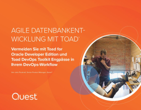 AGILE DATENBANK- ENTWICKLUNG MIT TOAD