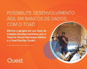 POSSIBILITE DESENVOLVIMENTO AGILE EM BANCOS DE DADOS COM O TOAD