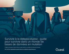 Survivre à la datapocalypse : guide pour survivre dans un monde de bases de données en mut...