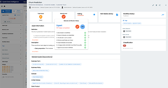 AI model governance