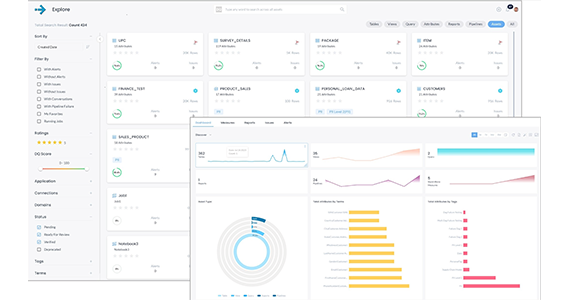 Consumer-Friendly Data Quality Discovery