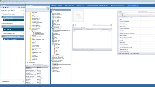 Using Dimensional Views in Toad Data Point Workbook